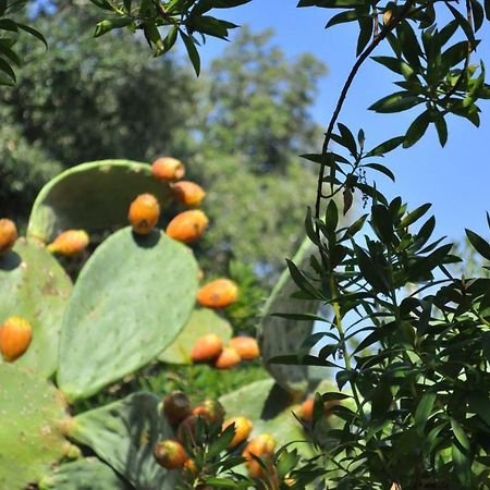 Casa Gorgole Leilighet Ostuni Eksteriør bilde